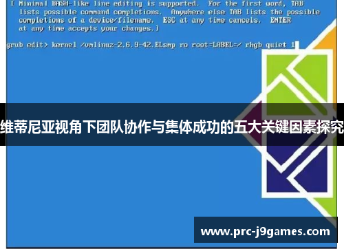 维蒂尼亚视角下团队协作与集体成功的五大关键因素探究
