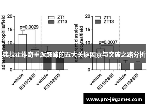 弗拉霍维奇重返巅峰的五大关键因素与突破之路分析 弗拉霍维奇重返巅峰的五大关键因素与突破之路分析
