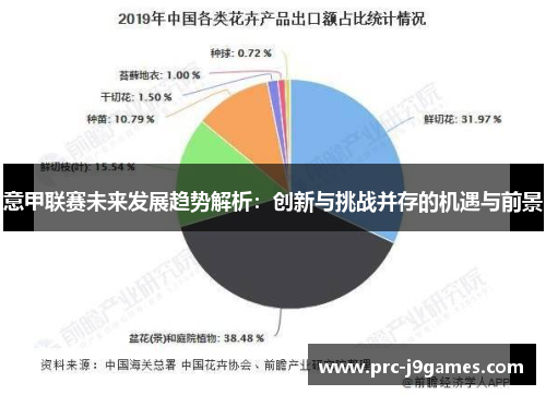 意甲联赛未来发展趋势解析：创新与挑战并存的机遇与前景