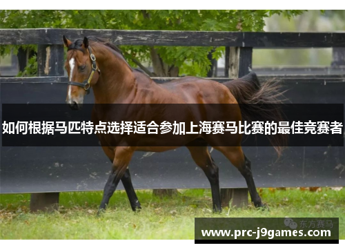 如何根据马匹特点选择适合参加上海赛马比赛的最佳竞赛者 如何根据马匹特点选择适合参加上海赛马比赛的最佳竞赛者