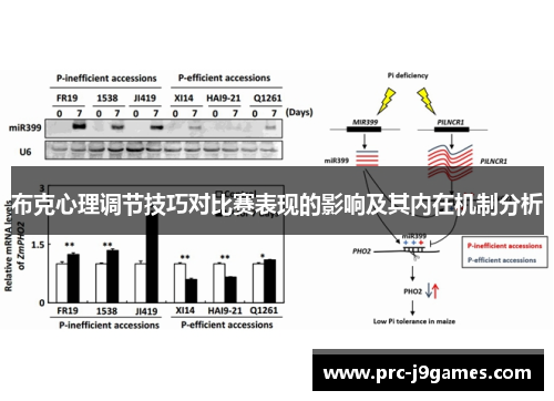 布克心理调节技巧对比赛表现的影响及其内在机制分析